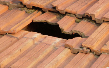roof repair Little Haresfield, Gloucestershire
